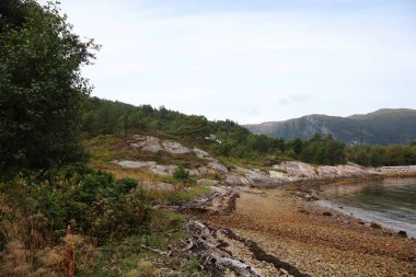 Norveç 'in Fresvik yakınlarındaki Sognefjorden manzarası 