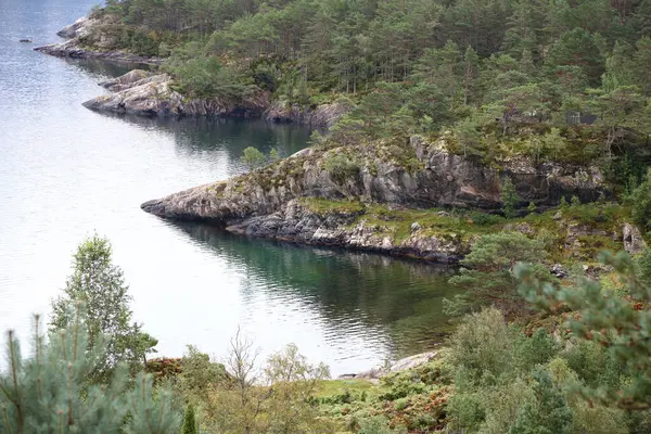 Scenic Nature View Sognefjorden Fresvik Norway — Stock Photo, Image