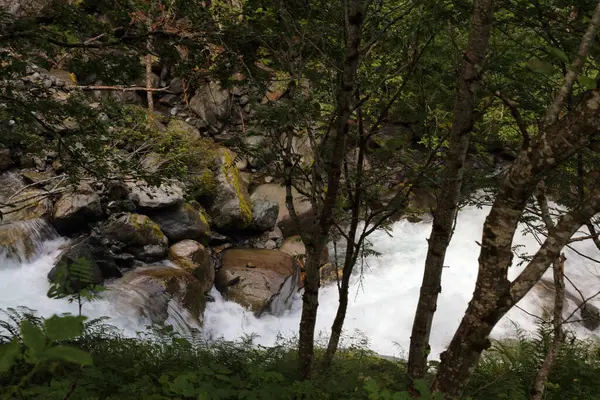Scenic Landscape Tundola River Norway — Stock Photo, Image