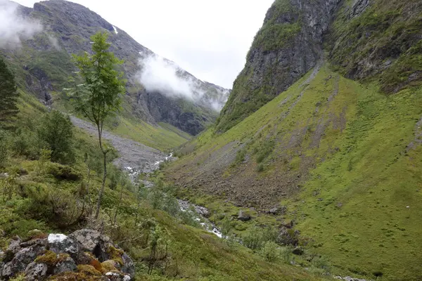 Paisagem Panorâmica Rio Tundola Noruega — Fotografia de Stock