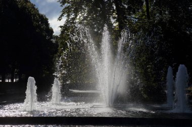Norveç, Oslo 'daki parkta büyük bir çeşme var.