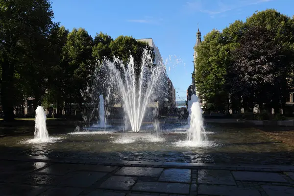 Norveç, Oslo 'daki parkta büyük bir çeşme var.