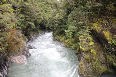 Mavi Havuz, Haast Pass Makarora Yolu, Güney Adası Yeni Zelanda