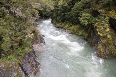 Mavi Havuz, Haast Pass Makarora Yolu, Güney Adası Yeni Zelanda