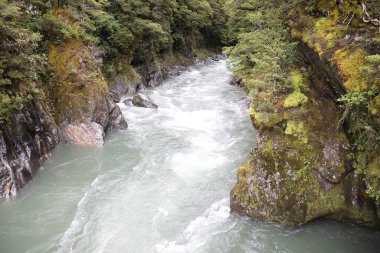 Mavi Havuz, Haast Pass Makarora Yolu, Güney Adası Yeni Zelanda