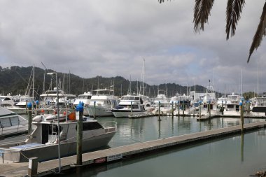 Whitianga 'da büyük yatlar, Yeni Zelanda' da Coromandel Marina, Yeni Zelanda 'da büyük balıkçı tekneleri Whitianga, Coromandel Yeni Zelanda' da demirlemiş.
