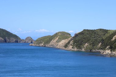 Marlborough Bölgesi, Marlborough Sesleri, Güney Adası, Yeni Zelanda, Okyanusya 'daki çayır ve kayalık kıyı manzarası