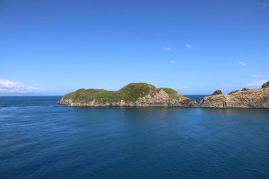 Marlborough Bölgesi, Marlborough Sesleri, Güney Adası, Yeni Zelanda, Okyanusya 'daki çayır ve kayalık kıyı manzarası