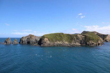 Marlborough Bölgesi, Marlborough Sesleri, Güney Adası, Yeni Zelanda, Okyanusya 'daki çayır ve kayalık kıyı manzarası