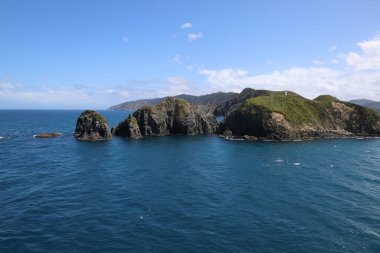 Marlborough Bölgesi, Marlborough Sesleri, Güney Adası, Yeni Zelanda, Okyanusya 'daki çayır ve kayalık kıyı manzarası