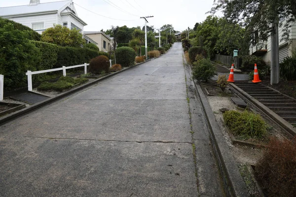 Dunedin Baldwin Street Steilste Straße Der Welt Dunedin Baldwin Street — Stockfoto