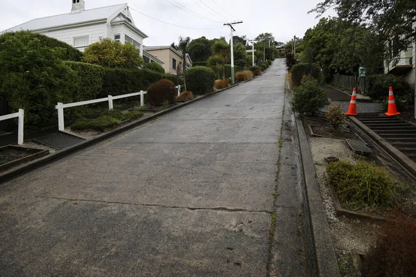 Dunedin Baldwin Street Steilste Straße Der Welt Dunedin Baldwin Street — Stockfoto