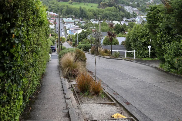 Dunedin Baldwin Street Steilste Straße Der Welt Dunedin Baldwin Street — Stockfoto