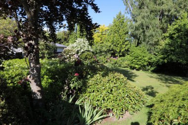 Garten Hanmer Springs / Garden Hanmer Baharı