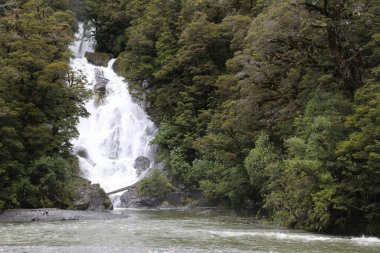 Haast River - Kükreyen Billy Wasserfall / Haast River - Kükreyen Billy Waterfall / 