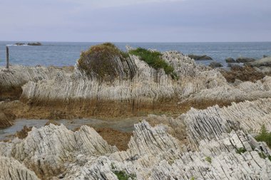 Kueste Kaikoura / Kaikoura Sahili / 