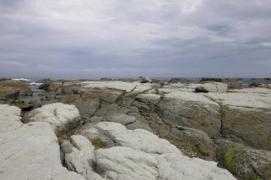 Kueste Kaikoura / Kaikoura Sahili / 