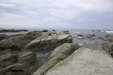 Kueste Kaikoura / Kaikoura Sahili / 