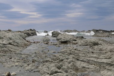 Kueste Kaikoura / Kaikoura Sahili / 