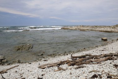 Kueste Kaikoura / Kaikoura Sahili / 