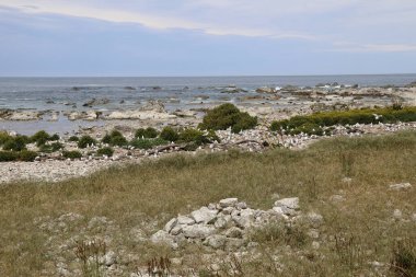 Kueste Kaikoura / Kaikoura Sahili / 