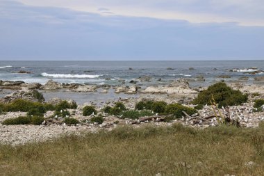 Kueste Kaikoura / Kaikoura Sahili / 