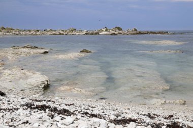 Kueste Kaikoura / Kaikoura Sahili / 