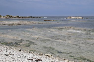 Kueste Kaikoura / Kaikoura Sahili / 