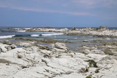 Kueste Kaikoura / Kaikoura Sahili / 