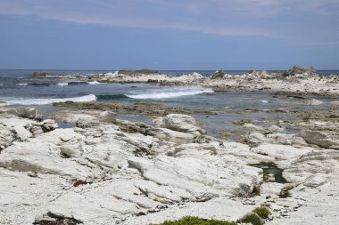 Kueste Kaikoura / Kaikoura Sahili / 