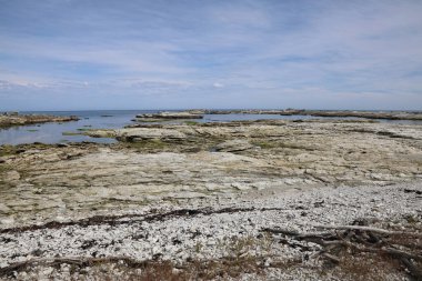 Kueste Kaikoura / Kaikoura Sahili / 
