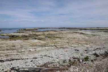 Kueste Kaikoura / Kaikoura Sahili / 