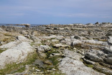 Kueste Kaikoura / Kaikoura Sahili / 