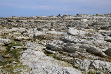 Kueste Kaikoura / Kaikoura Sahili / 