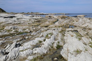 Kueste Kaikoura / Kaikoura Sahili / 