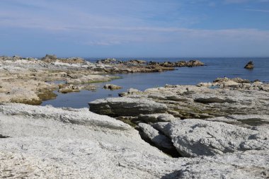 Kueste Kaikoura / Kaikoura Sahili / 