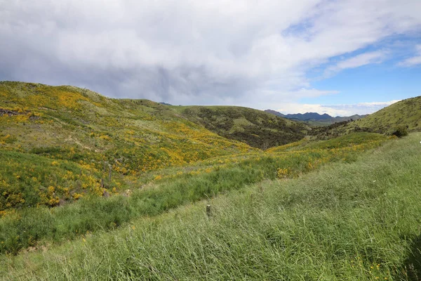 Kaikoura Nach Hanmer Springs Droga Śródlądowa Kaikoura Hanmer Springs Droga — Zdjęcie stockowe