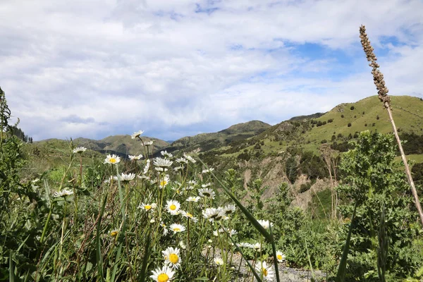 Kaikoura Nach Hanmer Springs Inland Road Kaikoura Hanmer Springs Inland — Foto Stock