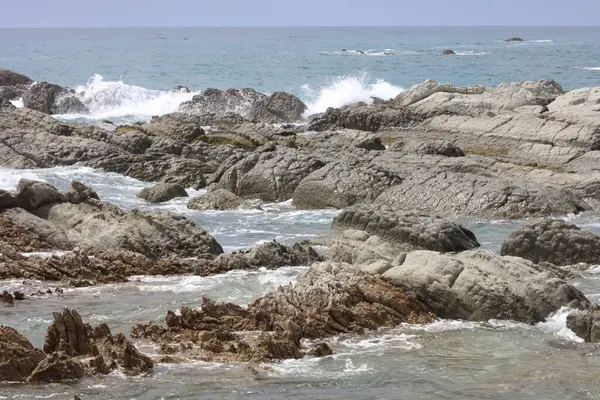 Kueste Kaikoura Kaikouras Kust — Stockfoto