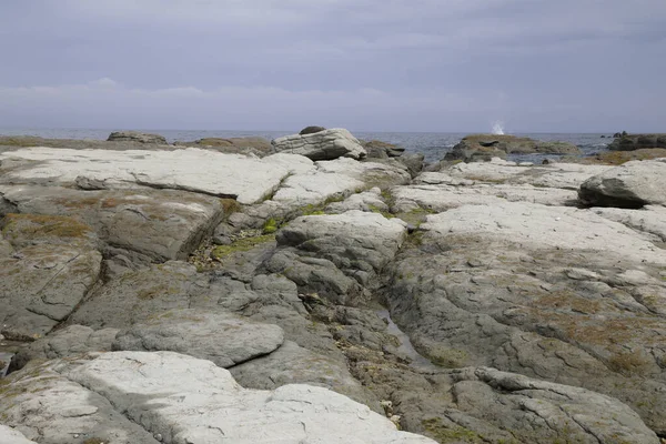 Kueste Kaikoura Costa Kaikoura — Foto Stock