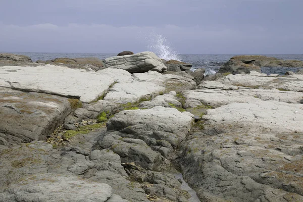 Kueste Kaikoura / Kaikoura Sahili / 