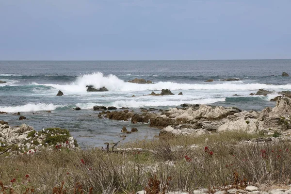 Kueste Kaikoura / Kaikoura Sahili / 