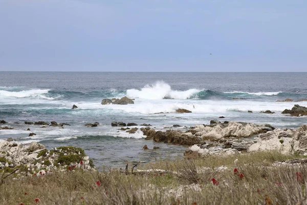 Kueste Kaikoura Kaikouras Kust — Stockfoto