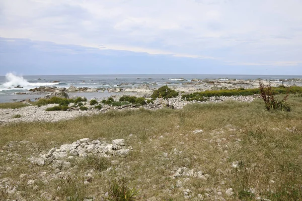 Kueste Kaikoura Kaikouras Kust — Stockfoto