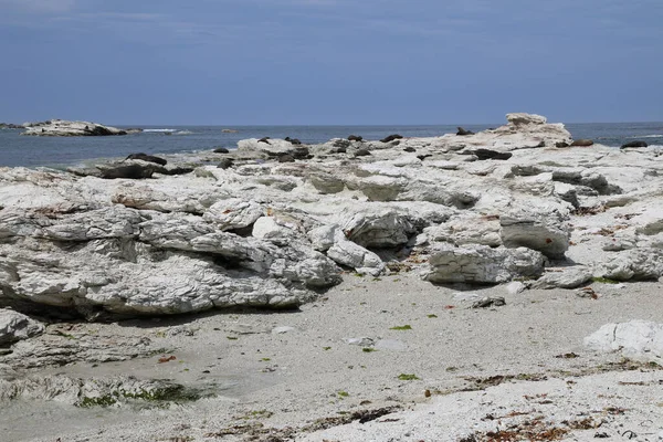 Kueste Kaikoura / Kaikoura Sahili / 