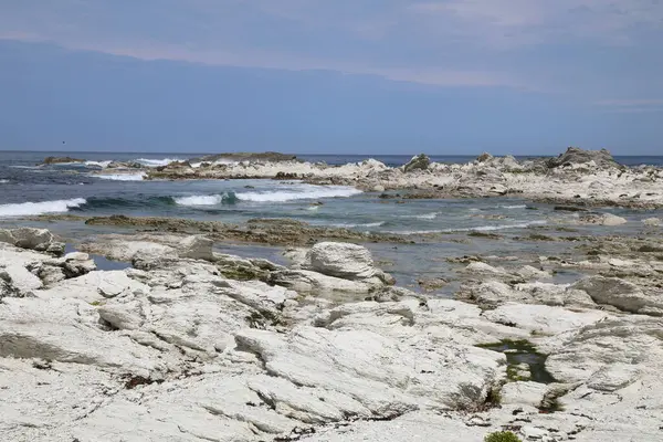 Kueste Kaikoura / Kaikoura Sahili / 