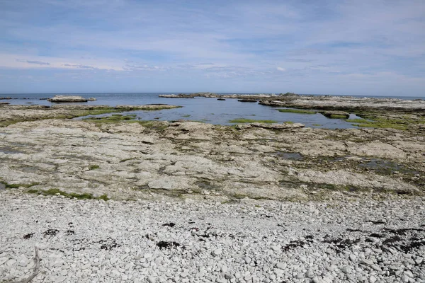 Kueste Kaikoura / Kaikoura Sahili / 