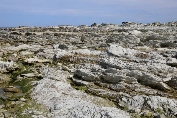 Kueste Kaikoura / Kaikoura Sahili / 
