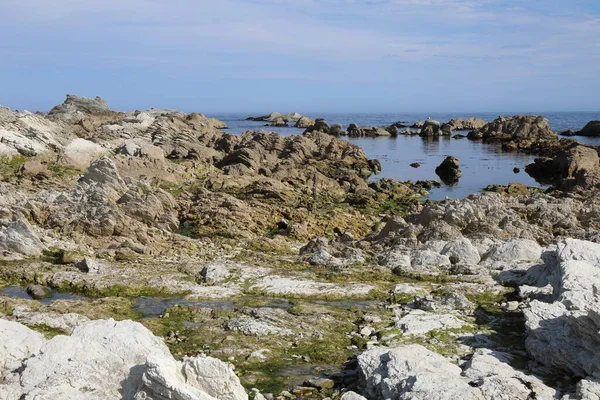 Kueste Kaikoura Costa Kaikoura — Foto Stock