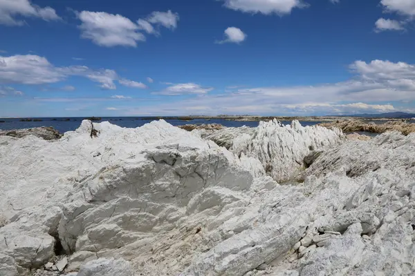 Kueste Kaikoura Kaikoura Coast — 스톡 사진